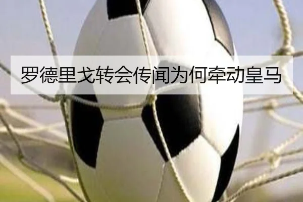罗德里戈转会传闻为何牵动皇马