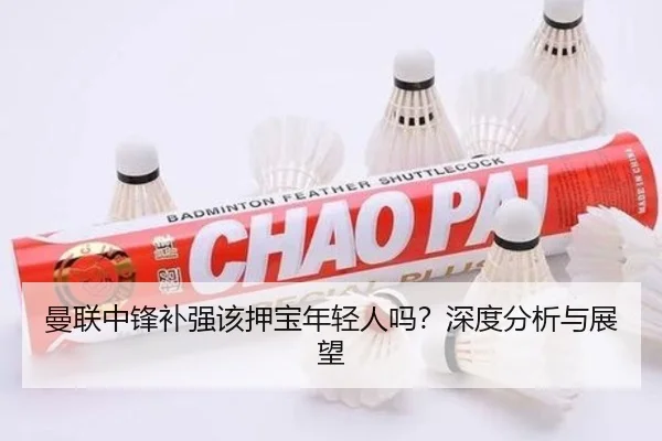 曼联中锋补强该押宝年轻人吗？深度分析与展望